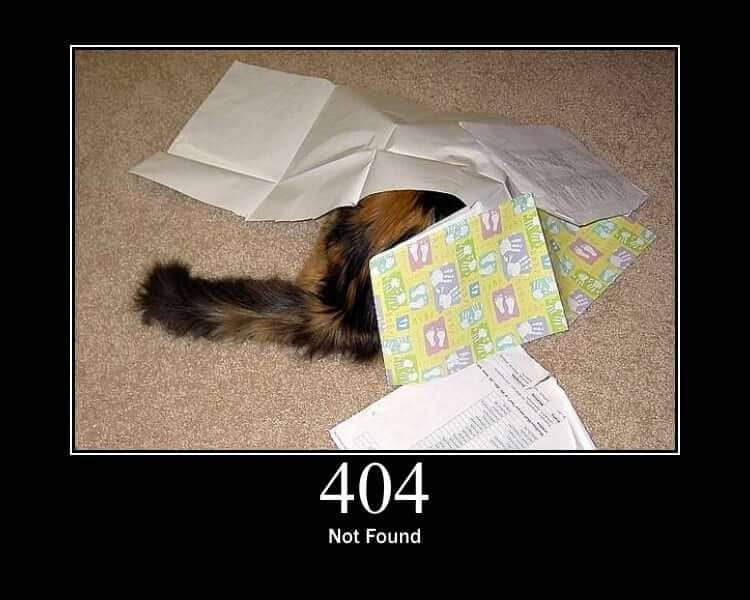 HTTP Cat 404